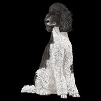 Sitting Dog Poodle Cooling Performance Long Sleeve Crew