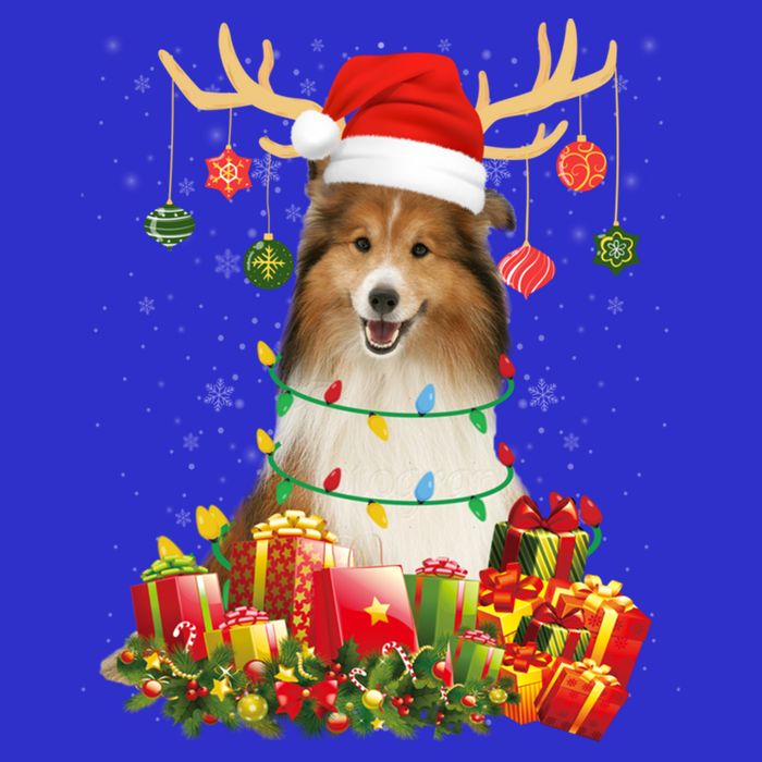 Sheltie Dog Reindeer Santa Hat Christmas Light Xmas Gift Tall T-Shirt