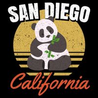 San Diego Retro Panda Zoo California Vintage Women's V-Neck T-Shirt
