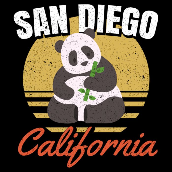 San Diego Retro Panda Zoo California Vintage Women's V-Neck T-Shirt