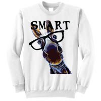 Smart Donkey Smart Donkey Sweatshirt