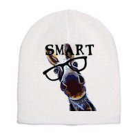 Smart Donkey Smart Donkey Short Acrylic Beanie