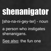 Shenanigator Definition Golf Towel