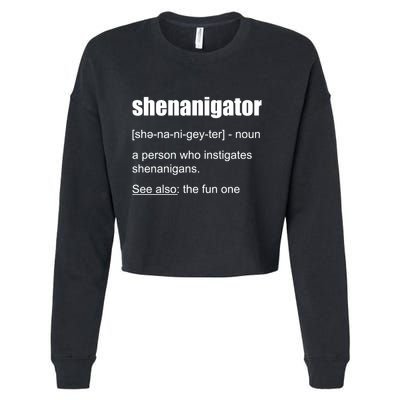 Shenanigator Definition Cropped Pullover Crew