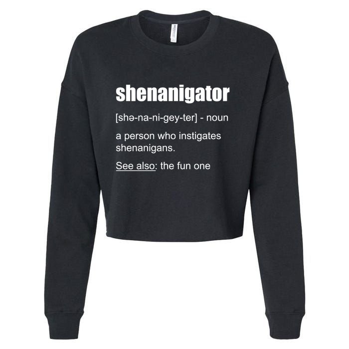 Shenanigator Definition Cropped Pullover Crew