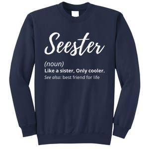 Seester Definition Seester Dictionary Best Sister Ever Gifts Sweatshirt