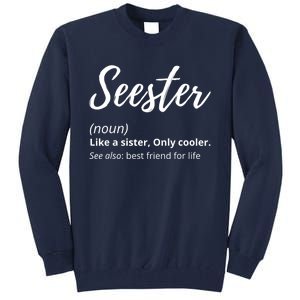 Seester Definition Seester Dictionary Best Sister Ever Gifts Tall Sweatshirt