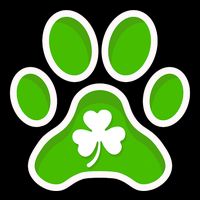 Shamrock Dog St. Patrick's Day Mesh Reversible Basketball Jersey Tank