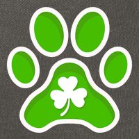 Shamrock Dog St. Patrick's Day Cotton Canvas Backpack