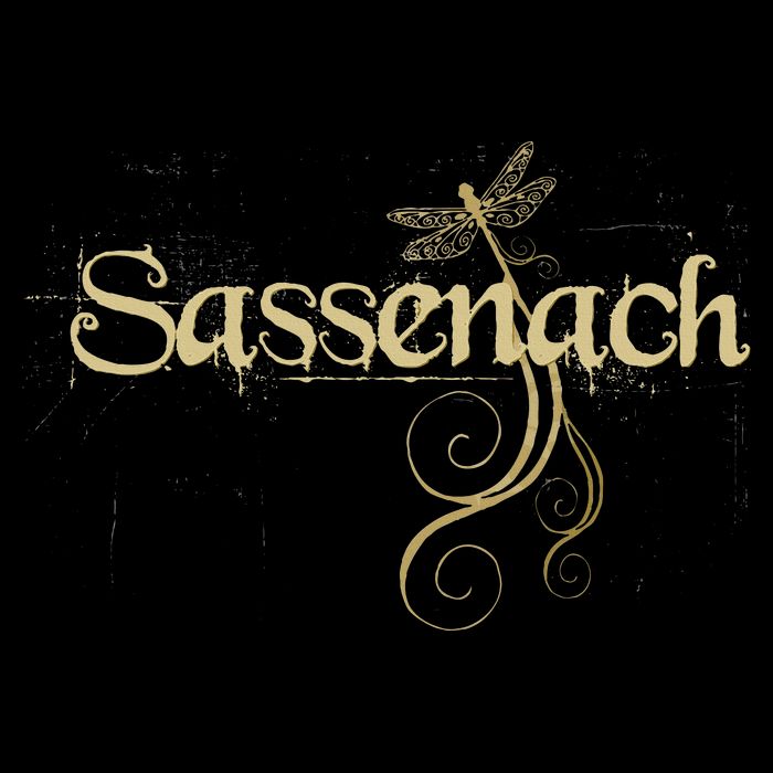 Sassenach Dragonfly Scottish Gift Retro Women's Crop Top Tee