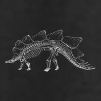 Stegosaurus Dinosaur Skeleton Illustration Art Graphic Bones Great Gift 7 Panel Mesh Trucker Snapback Hat