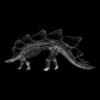 Stegosaurus Dinosaur Skeleton Illustration Art Graphic Bones Great Gift Cooling Performance Crew T-Shirt