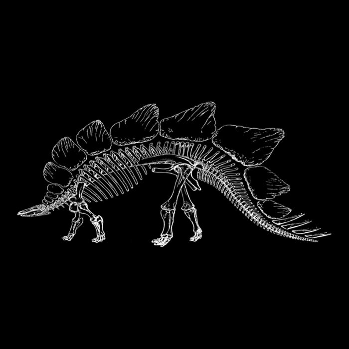 Stegosaurus Dinosaur Skeleton Illustration Art Graphic Bones Great Gift Cooling Performance Crew T-Shirt