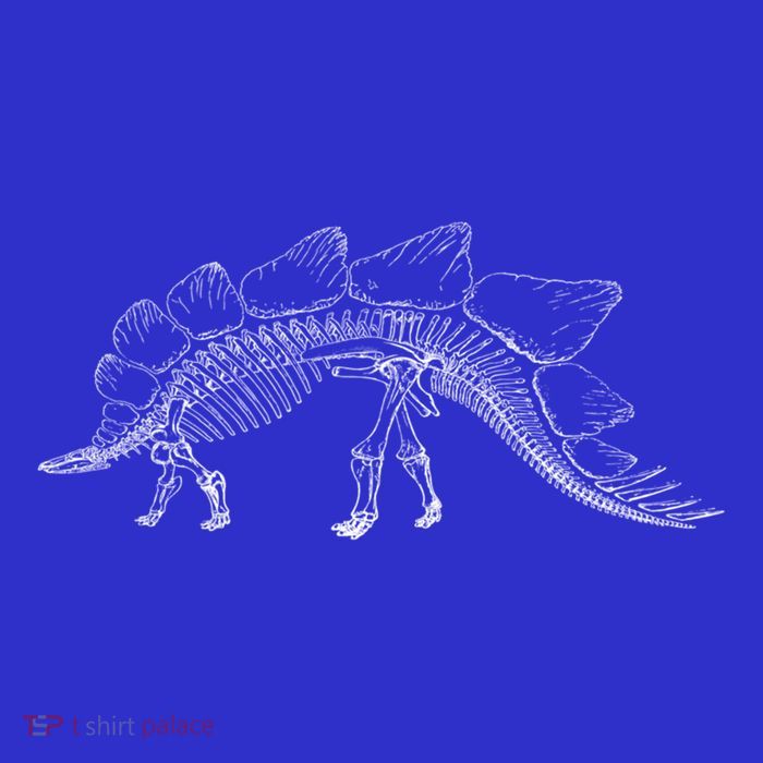 Stegosaurus Dinosaur Skeleton Illustration Art Graphic Bones Great Gift 16 in Basic Backpack