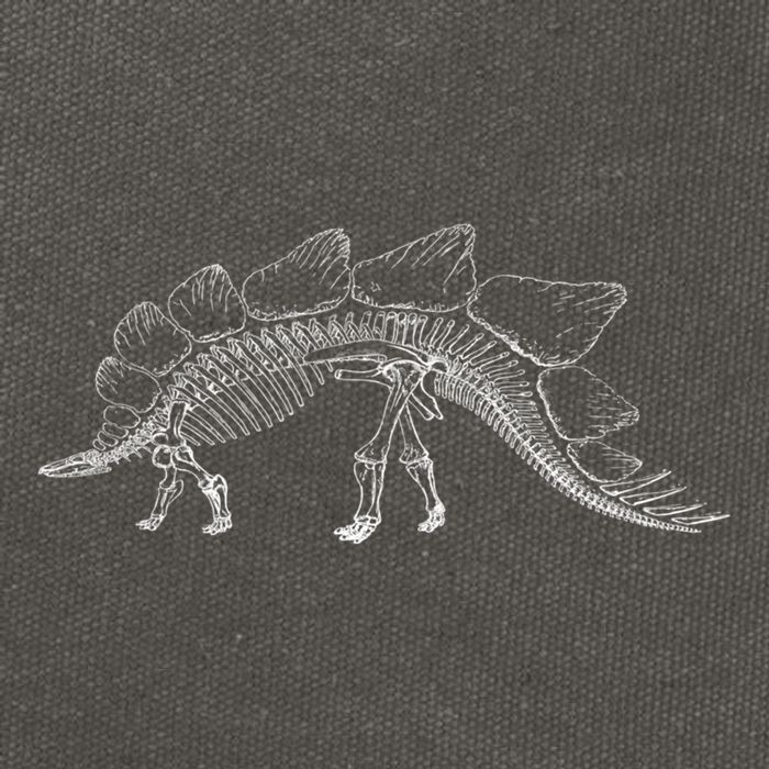 Stegosaurus Dinosaur Skeleton Illustration Art Graphic Bones Great Gift Cotton Canvas Backpack