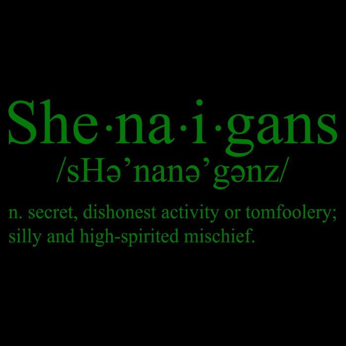 Shenanigans Definition St Patricks Day Funny Mug
