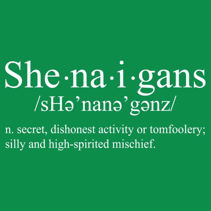 Shenanigans Definition St Patricks Day Funny T-Shirt