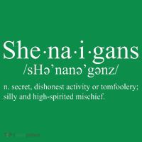 Shenanigans Definition St Patricks Day Funny Toddler Hoodie