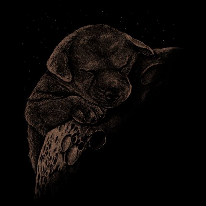 Sweet Dog Sleeping On Moon Cooling Performance Crew T-Shirt