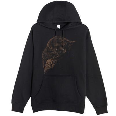 Sweet Dog Sleeping On Moon Premium Pullover Hoodie