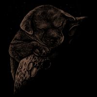 Sweet Dog Sleeping On Moon Kids T-Shirt