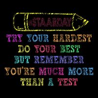 Staar Day Try Your Hardest Do Your Best Teacher Test Day Stripe Pom Pom Beanie