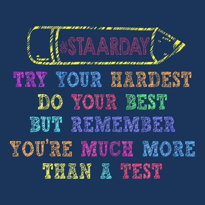 Staar Day Try Your Hardest Do Your Best Teacher Test Day Hooded Wearable Blanket