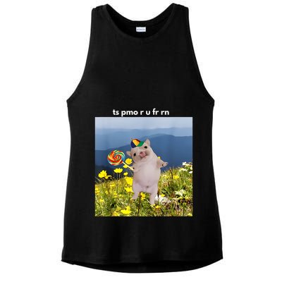 Silly Dog With Lollipop Meme Gen Z Brainrot Slang Meme Ladies PosiCharge Tri-Blend Wicking Tank