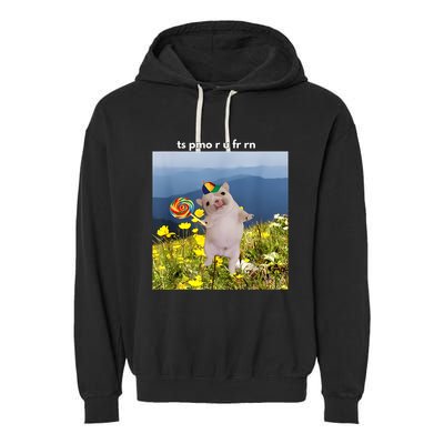 Silly Dog With Lollipop Meme Gen Z Brainrot Slang Meme Garment-Dyed Fleece Hoodie