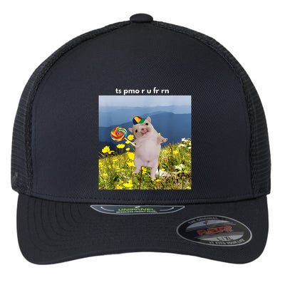 Silly Dog With Lollipop Meme Gen Z Brainrot Slang Meme Flexfit Unipanel Trucker Cap
