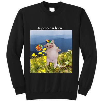 Silly Dog With Lollipop Meme Gen Z Brainrot Slang Meme Sweatshirt