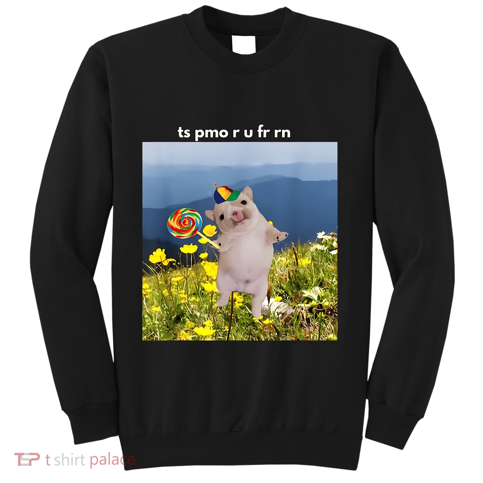 Silly Dog With Lollipop Meme Gen Z Brainrot Slang Meme Sweatshirt