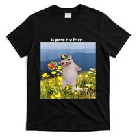 Silly Dog With Lollipop Meme Gen Z Brainrot Slang Meme T-Shirt