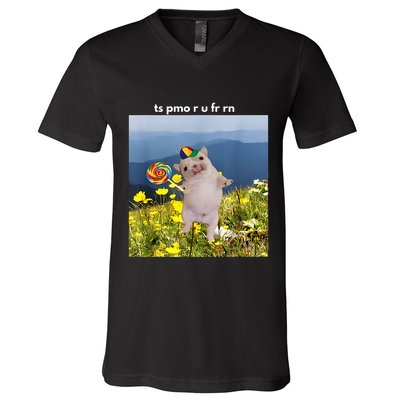 Silly Dog With Lollipop Meme Gen Z Brainrot Slang Meme V-Neck T-Shirt