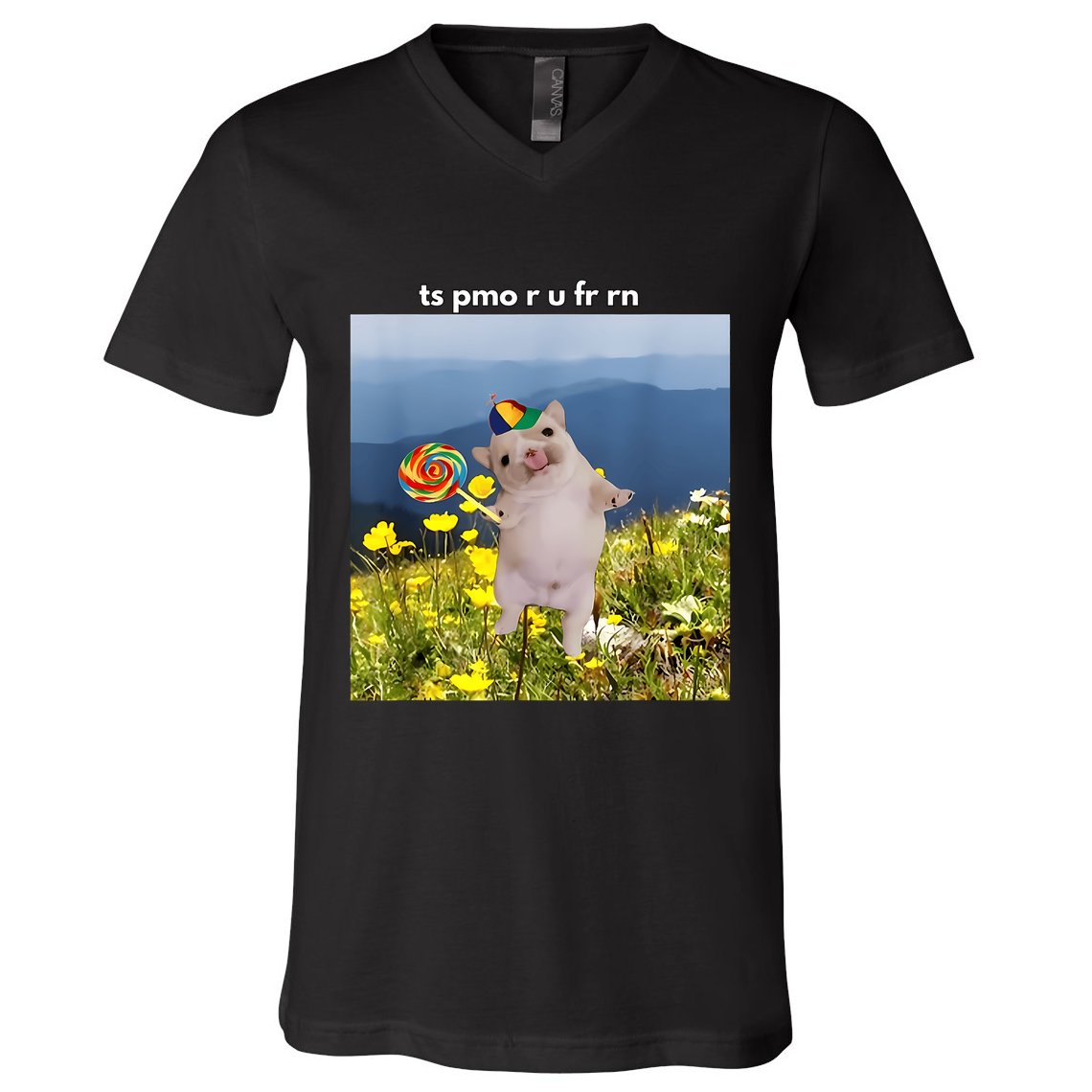 Silly Dog With Lollipop Meme Gen Z Brainrot Slang Meme V-Neck T-Shirt
