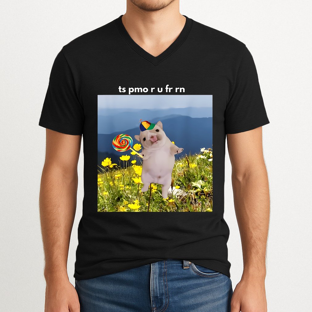 Silly Dog With Lollipop Meme Gen Z Brainrot Slang Meme V-Neck T-Shirt