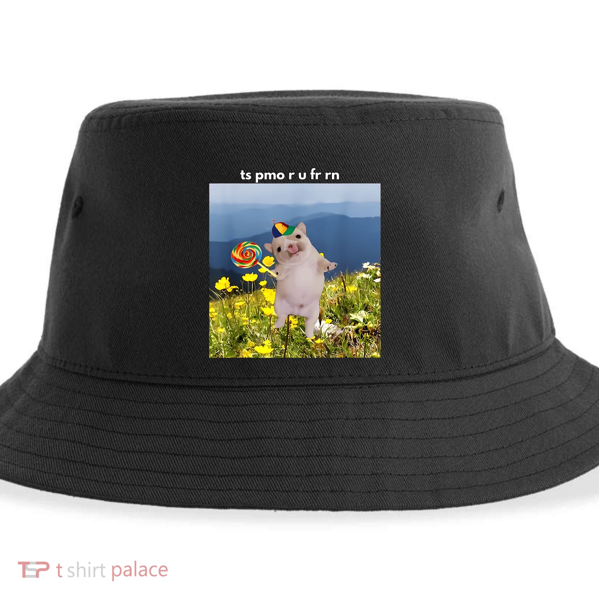 Silly Dog With Lollipop Meme Gen Z Brainrot Slang Meme Sustainable Bucket Hat