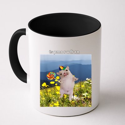 Silly Dog With Lollipop Meme Gen Z Brainrot Slang Meme Mug