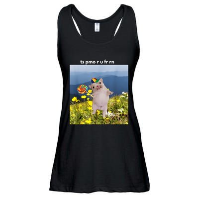Silly Dog With Lollipop Meme Gen Z Brainrot Slang Meme Ladies Essential Flowy Tank
