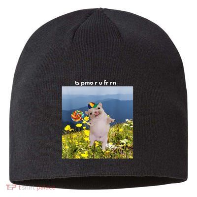 Silly Dog With Lollipop Meme Gen Z Brainrot Slang Meme Sustainable Beanie