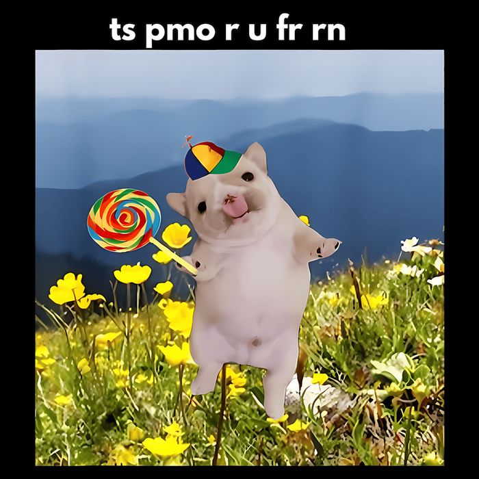 Silly Dog With Lollipop Meme Gen Z Brainrot Slang Meme 16 in Basic Backpack