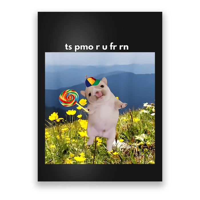 Silly Dog With Lollipop Meme Gen Z Brainrot Slang Meme Poster