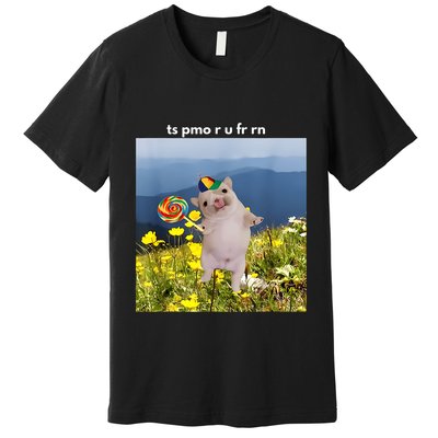 Silly Dog With Lollipop Meme Gen Z Brainrot Slang Meme Premium T-Shirt