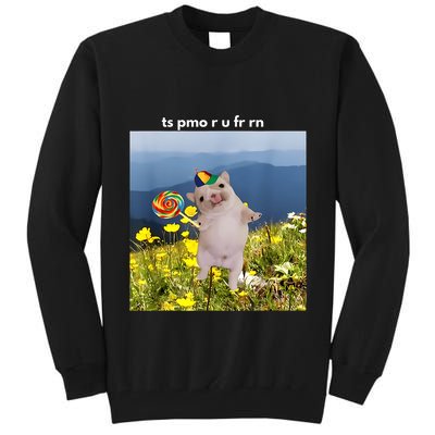 Silly Dog With Lollipop Meme Gen Z Brainrot Slang Meme Tall Sweatshirt