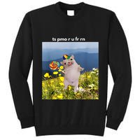 Silly Dog With Lollipop Meme Gen Z Brainrot Slang Meme Tall Sweatshirt