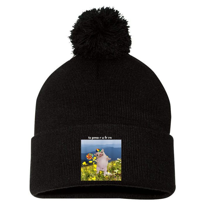Silly Dog With Lollipop Meme Gen Z Brainrot Slang Meme Pom Pom 12in Knit Beanie