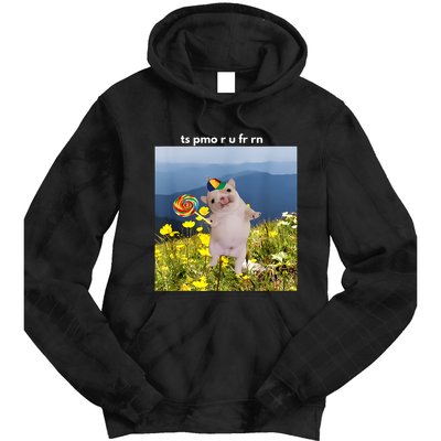 Silly Dog With Lollipop Meme Gen Z Brainrot Slang Meme Tie Dye Hoodie