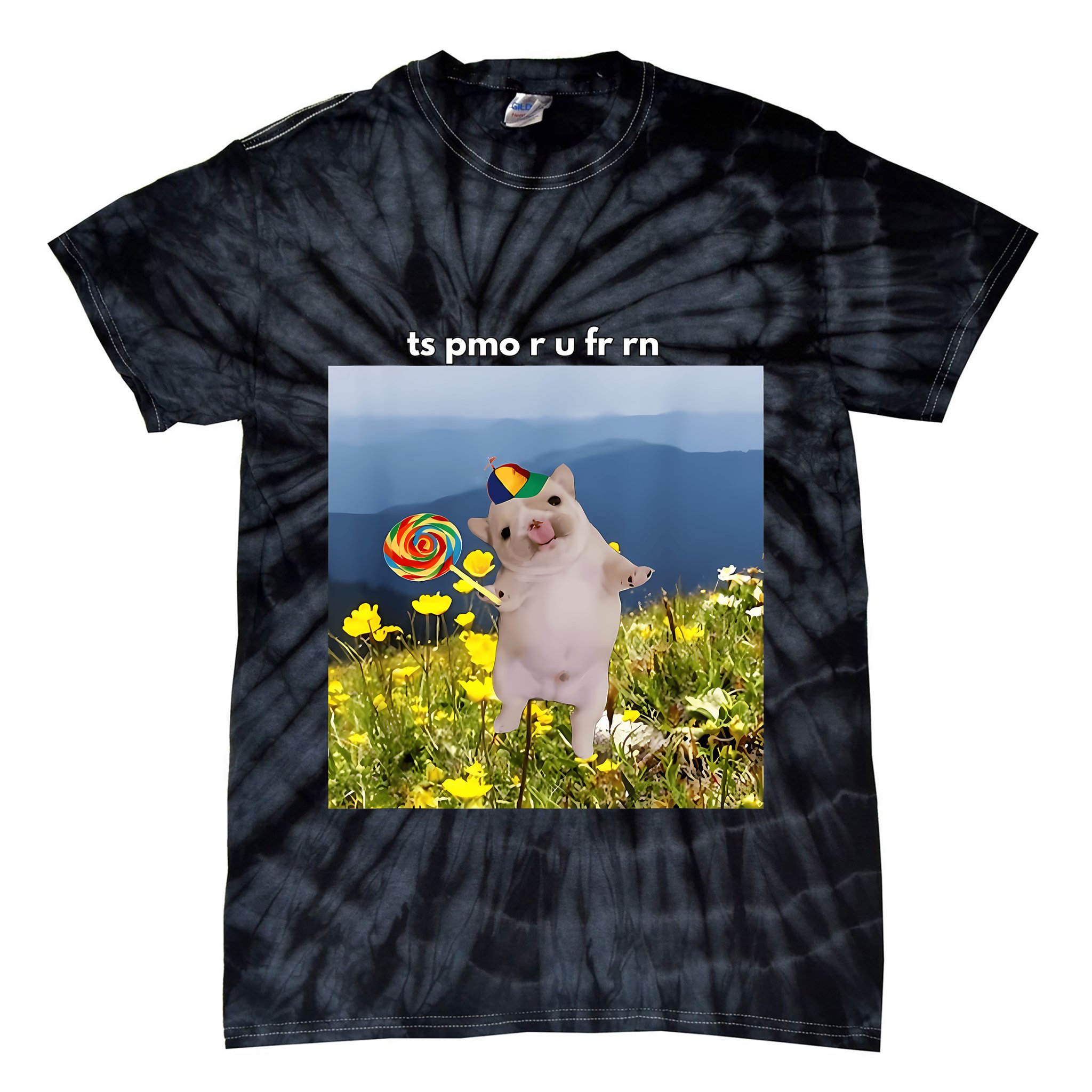 Silly Dog With Lollipop Meme Gen Z Brainrot Slang Meme Tie-Dye T-Shirt
