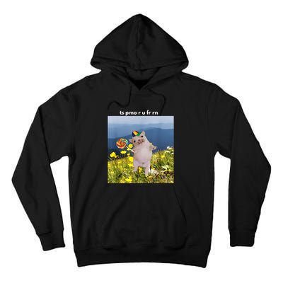 Silly Dog With Lollipop Meme Gen Z Brainrot Slang Meme Tall Hoodie
