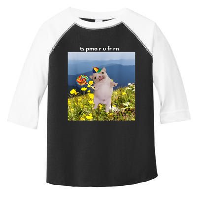 Silly Dog With Lollipop Meme Gen Z Brainrot Slang Meme Toddler Fine Jersey T-Shirt